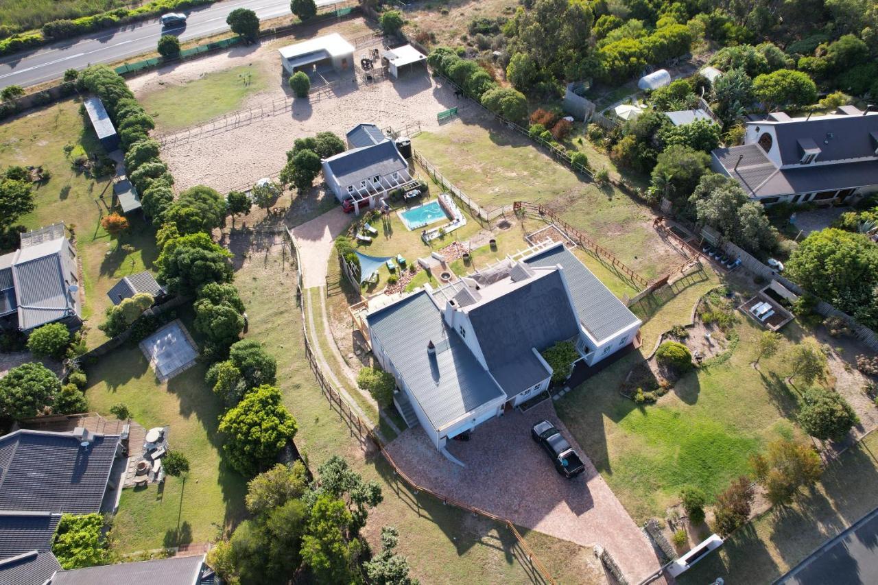 Vinistrella Villa Cape Town Dış mekan fotoğraf